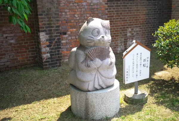 洲本八狸