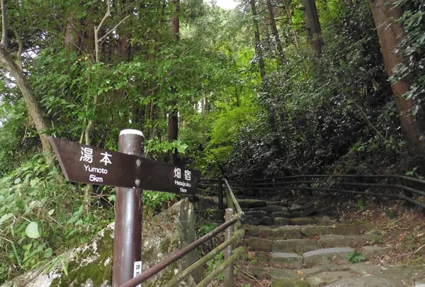 間の宿：畑宿へ石畳を進む