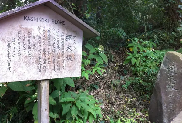橿木坂（かしのきさか）