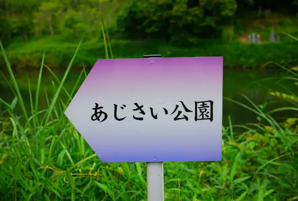 安富あじさい公園