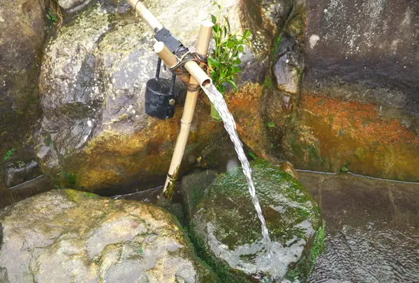 新松か井の水公園の写真・動画_image_33270