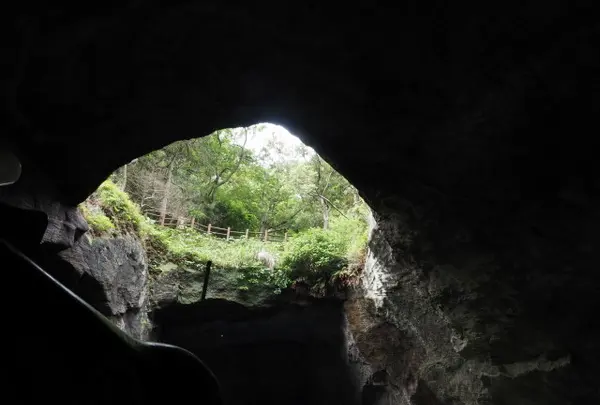 堂ケ島天窓洞の写真・動画_image_33356