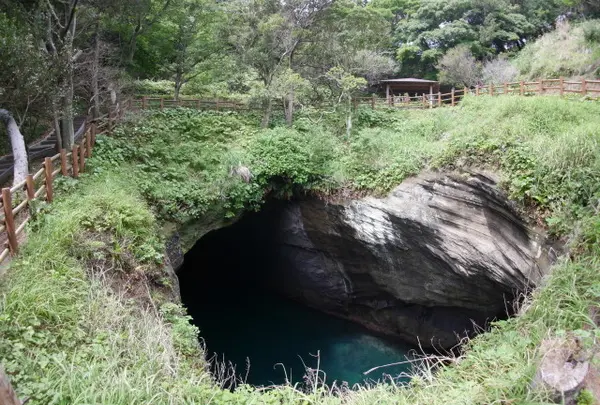 堂ケ島天窓洞の写真・動画_image_33357
