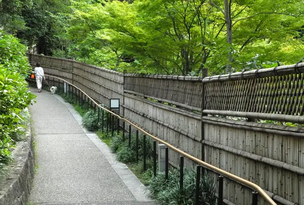 園内の小路がオススメ