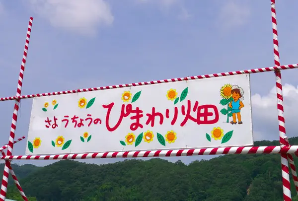 南光スポーツ公園（若あゆランド）の写真・動画_image_34548