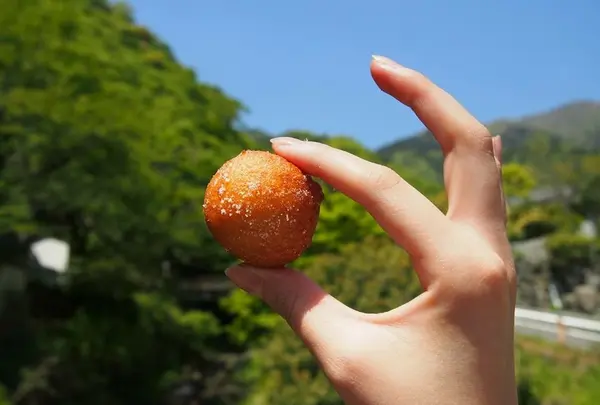 これが噂の「おからドーナツ」