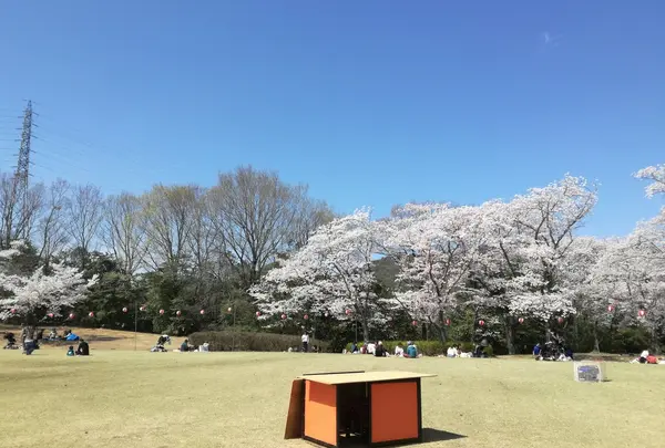 広々とした広場