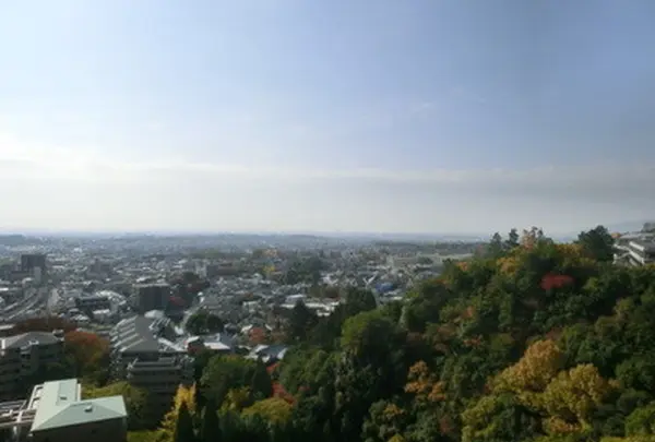 大阪平野を一望