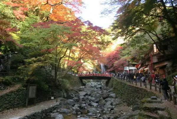 紅葉のシーズン