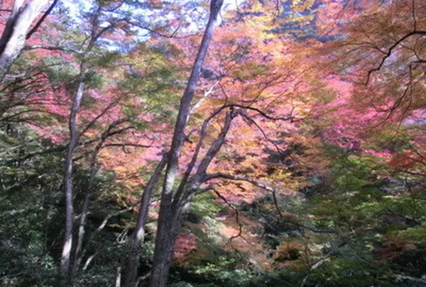 紅葉に染まる山々