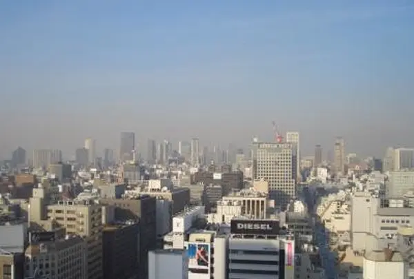 屋上庭園