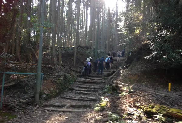 「おくだりやす」「おのぼりやす」の合言葉
