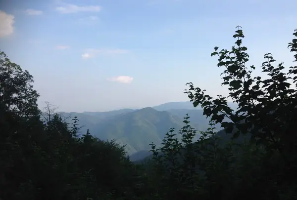 景色