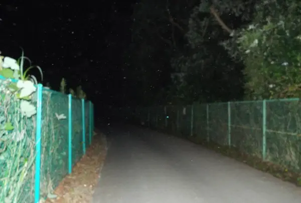 燈明堂跡への道