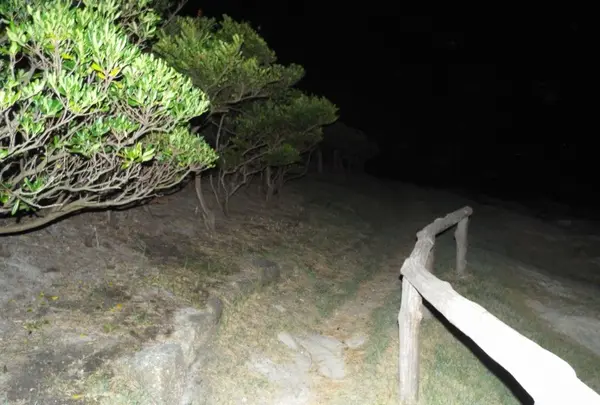 燈明堂跡へ