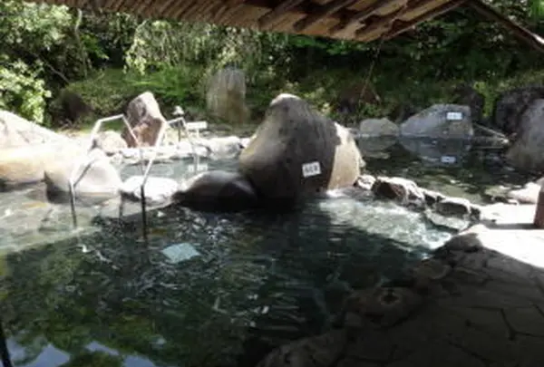 ならのさこ温泉の写真・動画_image_41596