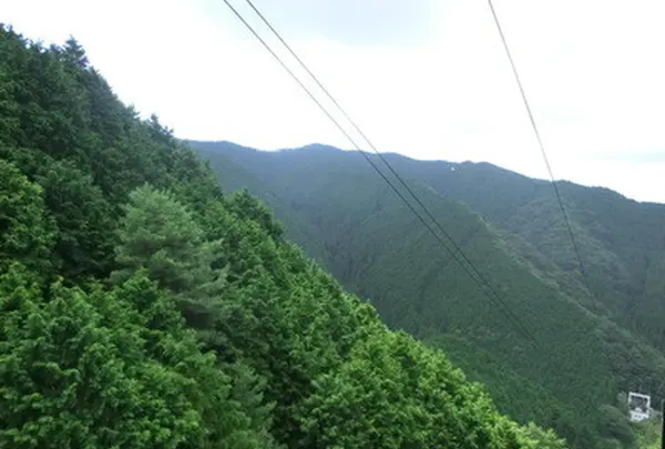 金剛山ロープウェイの写真・動画_image_41851