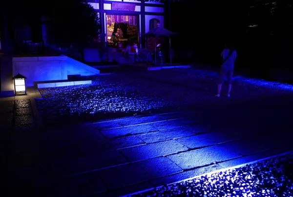 けっこう暗いです