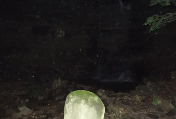 滝