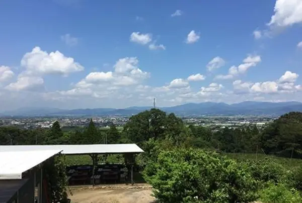巨峰ワイナリーの写真・動画_image_45165