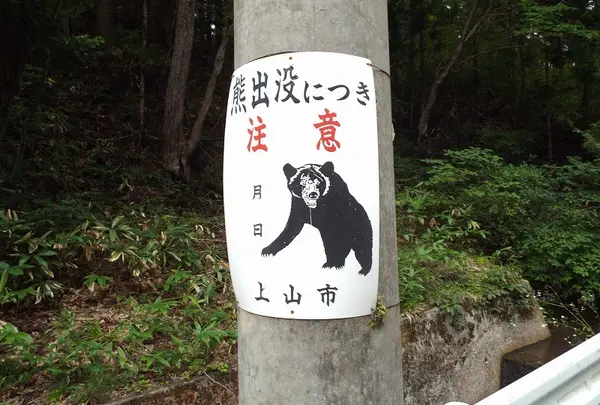 熊出没注意