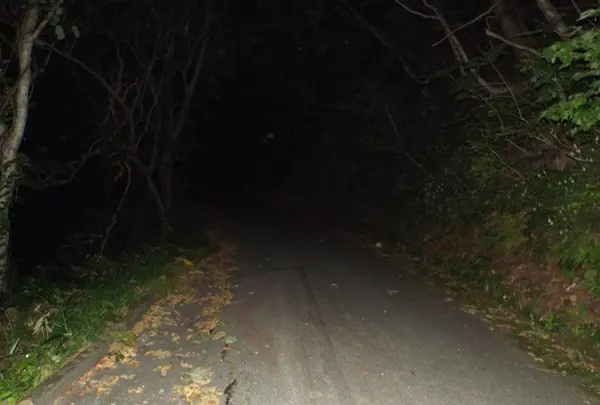 山頂へ