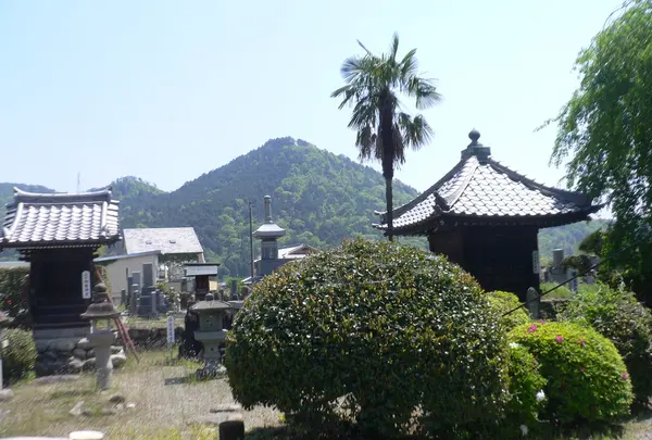 妙雲寺のあたりに埋蔵金が…？