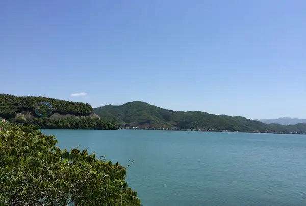 若狭の写真・動画_image_51881