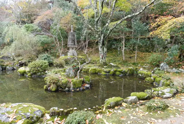 竹林院の写真・動画_image_52577