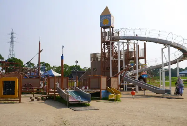 ひまわりの丘公園の写真・動画_image_54389