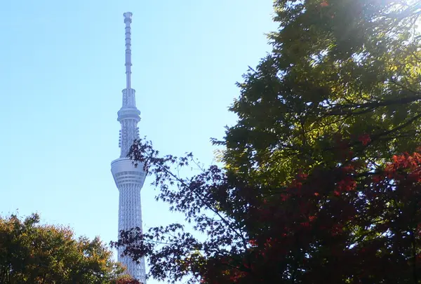 本龍院（待乳山聖天）の写真・動画_image_56603