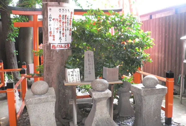 おいとしぼし社