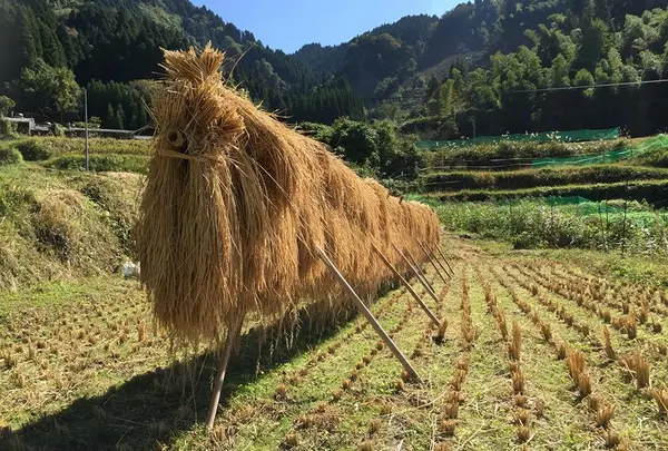 賭け干し米