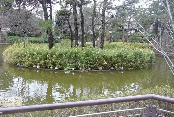 妙正寺池