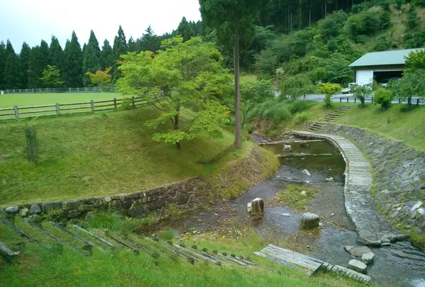 川べりまで降りれます！