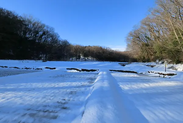 雪原をあるく