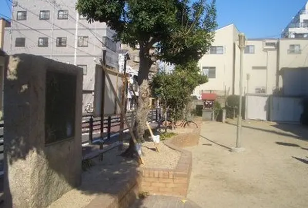 京かい道筋商店街の写真・動画_image_62834