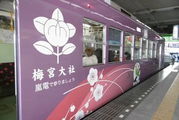 梅の時期限定車両