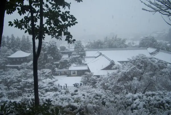 庭園