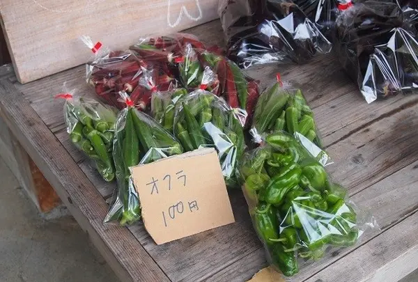 新鮮なお野菜も