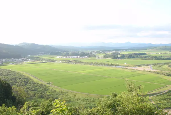 展望台からの絶景！