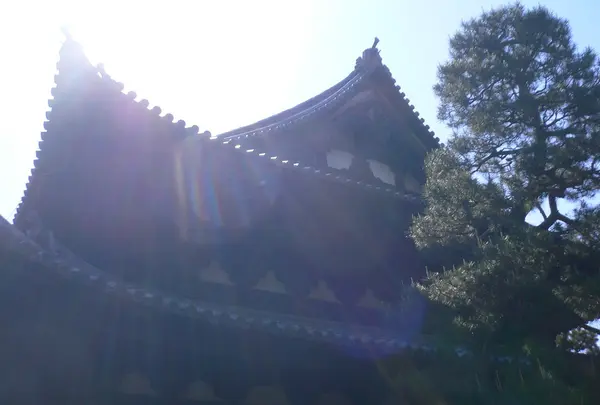 龍寶山　大徳寺の写真・動画_image_72632