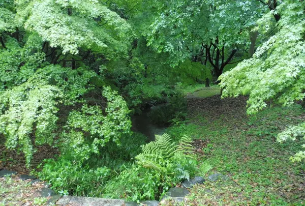 パワースポット糺の森