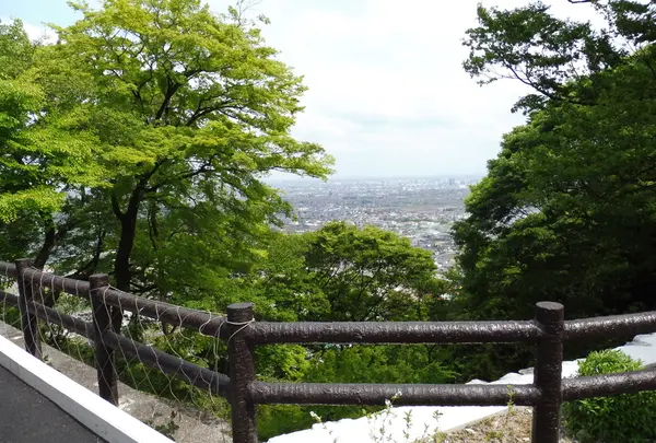 明星輪寺の写真・動画_image_76781