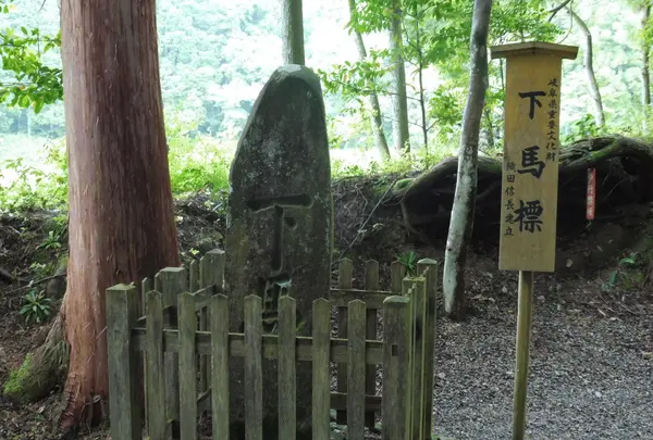 武芸八幡宮の写真・動画_image_78634