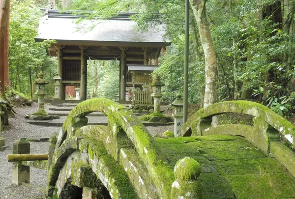 武芸八幡宮の写真・動画_image_78637
