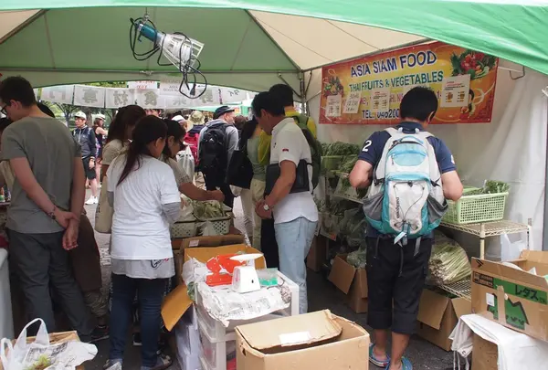 他にも見どころ結構あり