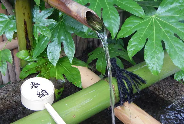 伏見の名水「閼伽水（あかすい）」