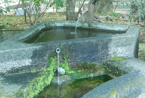 お寺に湧く名水