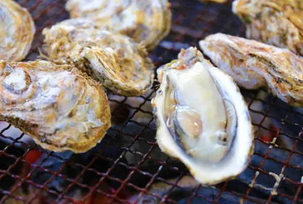 たらカキ焼海道